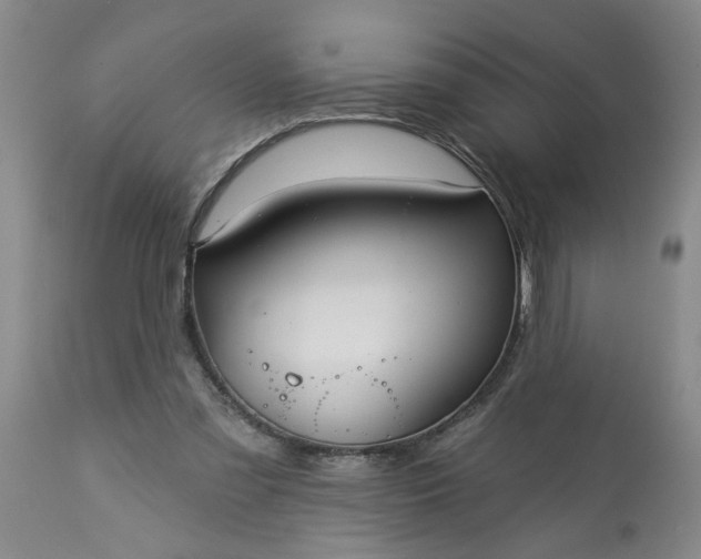 X0000113550301200910021537