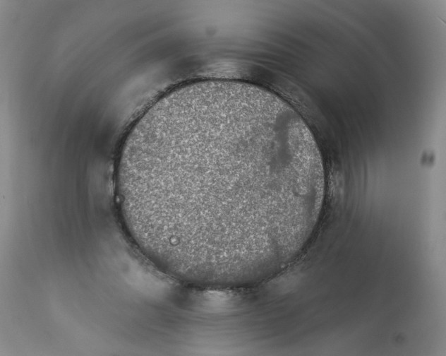 X0000113550302200910021537