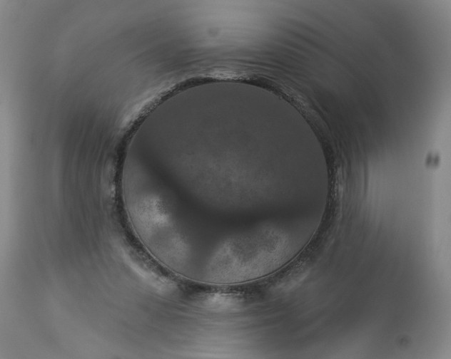 X0000113550303200910021537