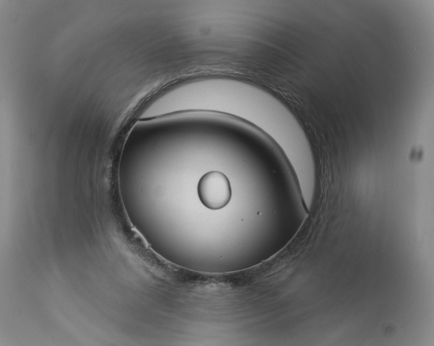 X0000113550304200910021537