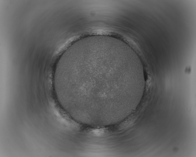 X0000113550306200910021537