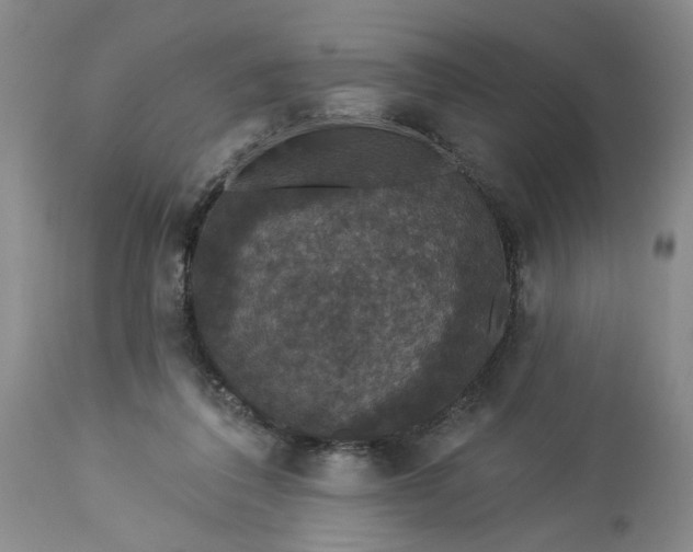 X0000113550308200910021537