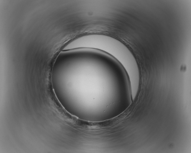 X0000113550309200910021537