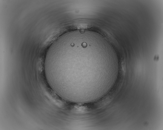 X0000113550311200910021537