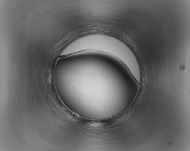 X0000113550313200910021537