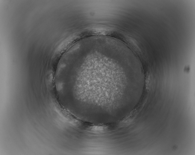 X0000113550314200910021536