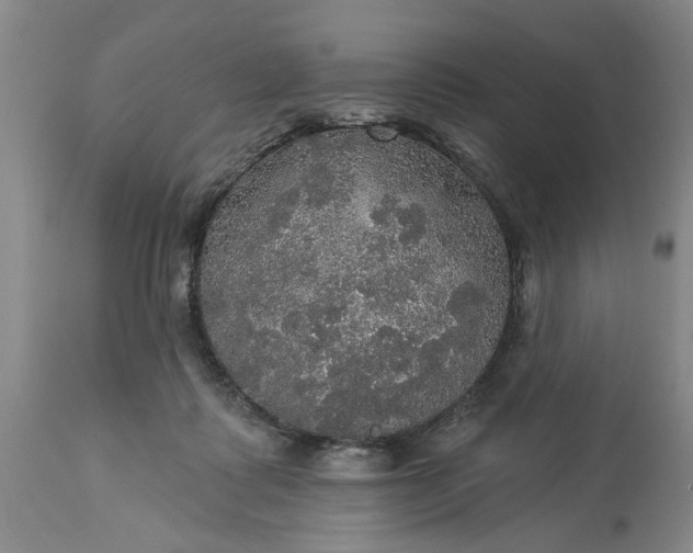 X0000113550315200910021536