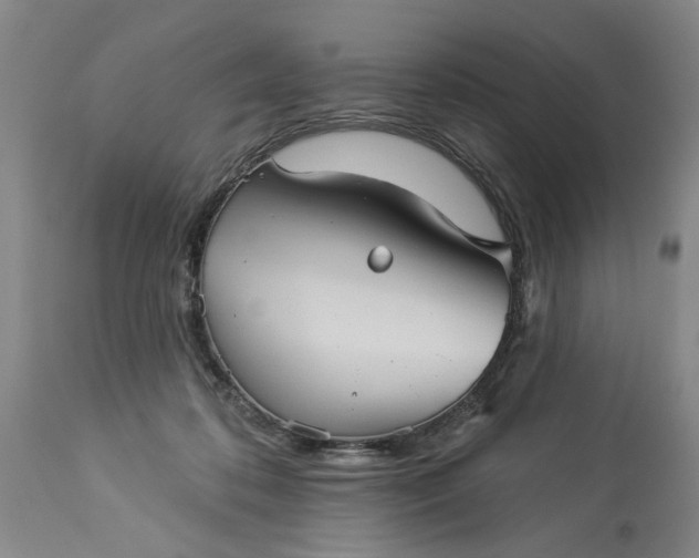 X0000113550316200910021536