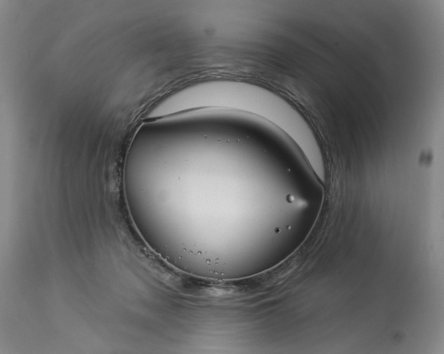 X0000113550317200910021536