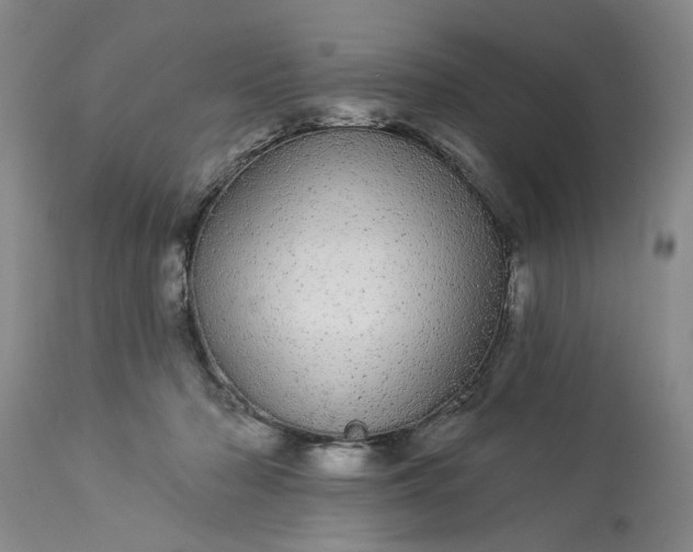 X0000113550318200910021536