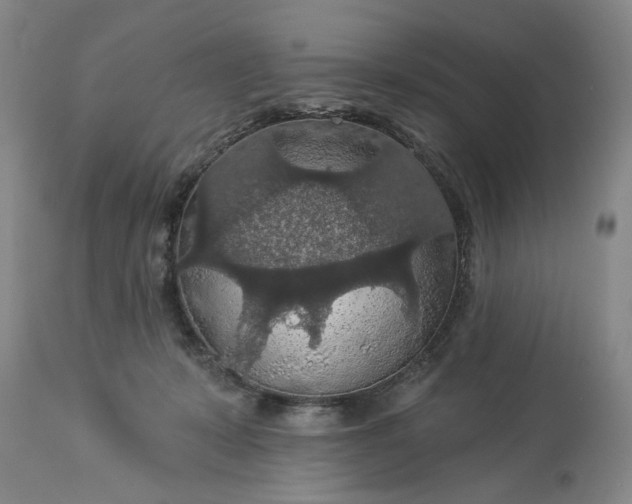 X0000113550319200910021536