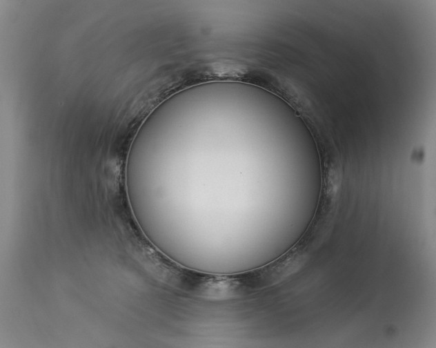 X0000113550321200910021536