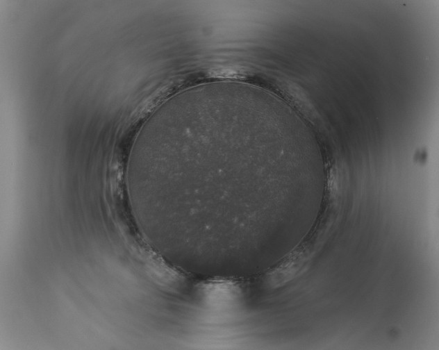 X0000113550322200910021536