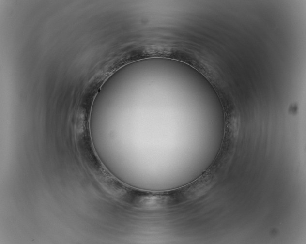 X0000113550323200910021536