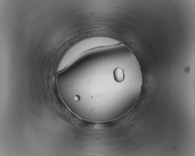 X0000113550324200910021536