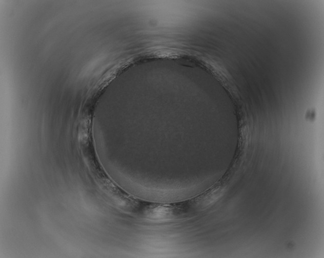 X0000113550325200910021536