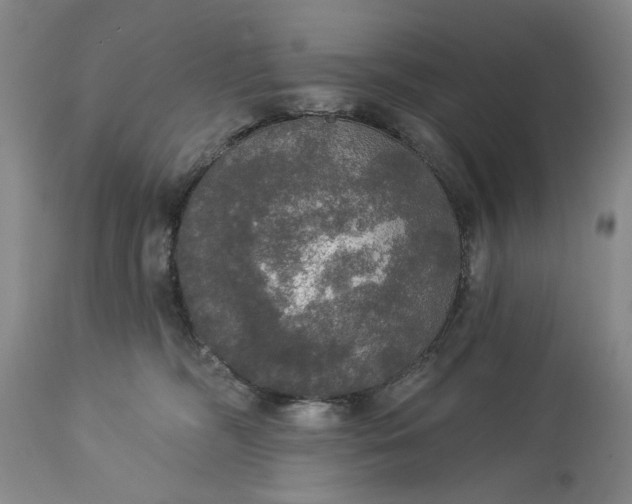 X0000113550326200910021536