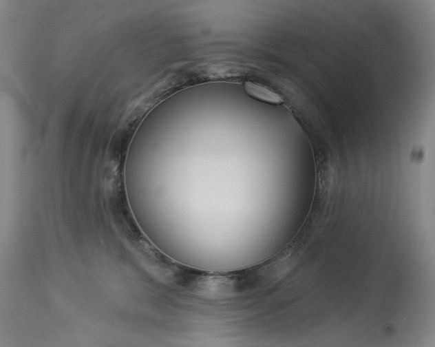 X0000113550327200910021536