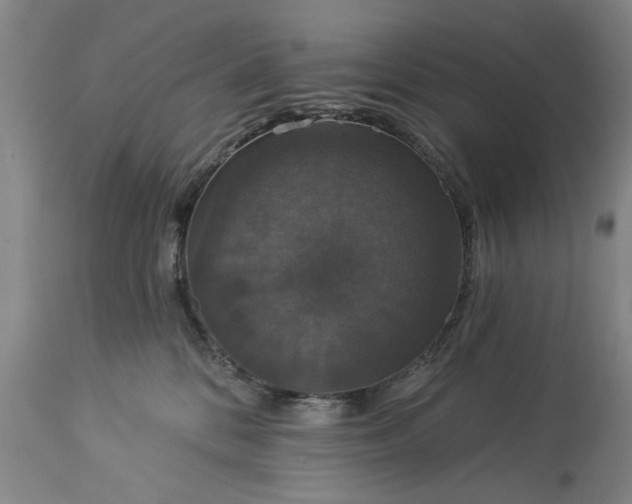 X0000113550328200910021536