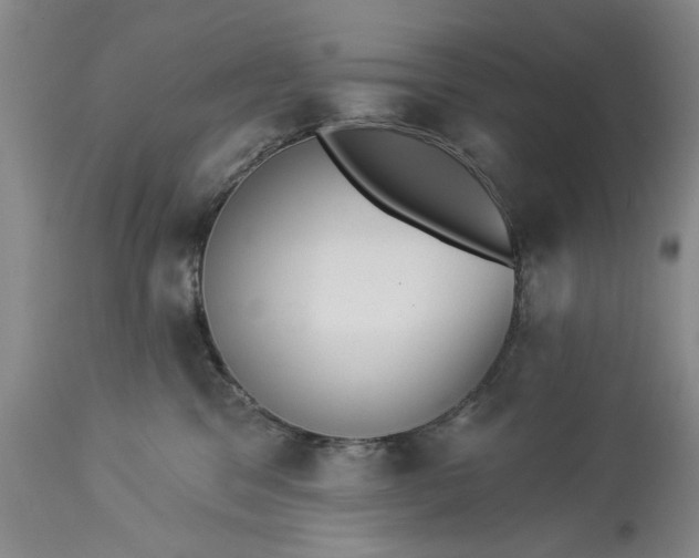 X0000113550329200910021536