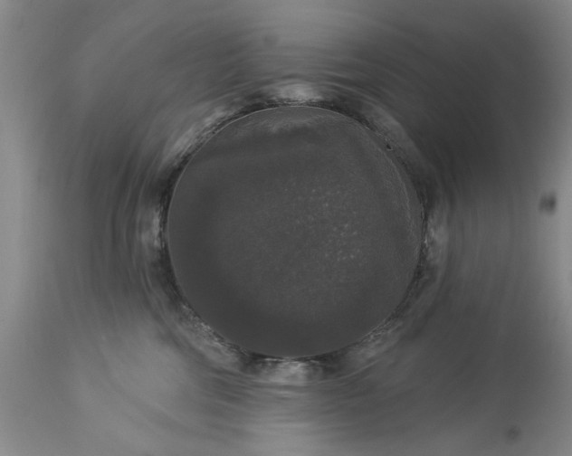 X0000113550330200910021536