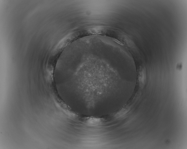 X0000113550332200910021536