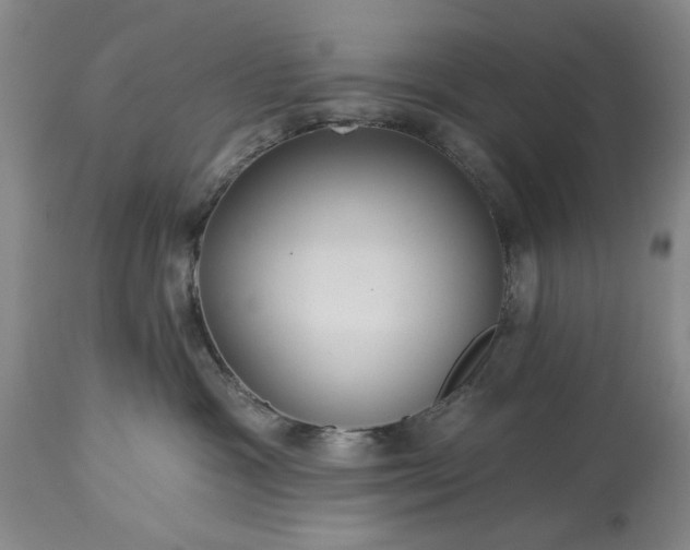 X0000113550333200910021536