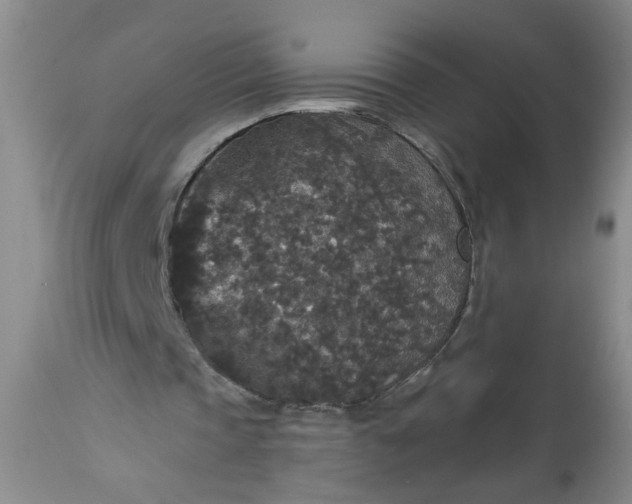 X0000113550337200910021535