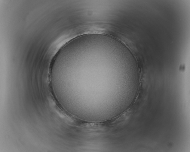 X0000113550338200910021535