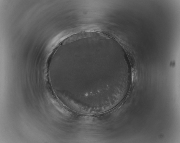 X0000113550339200910021535