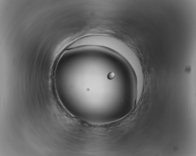 X0000113550340200910021535