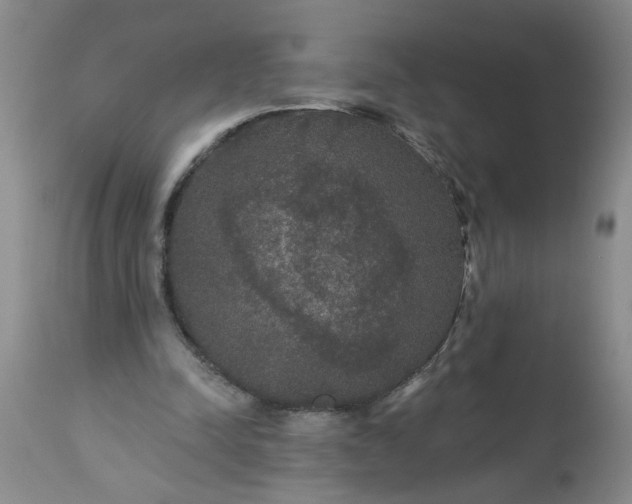 X0000113550342200910021535