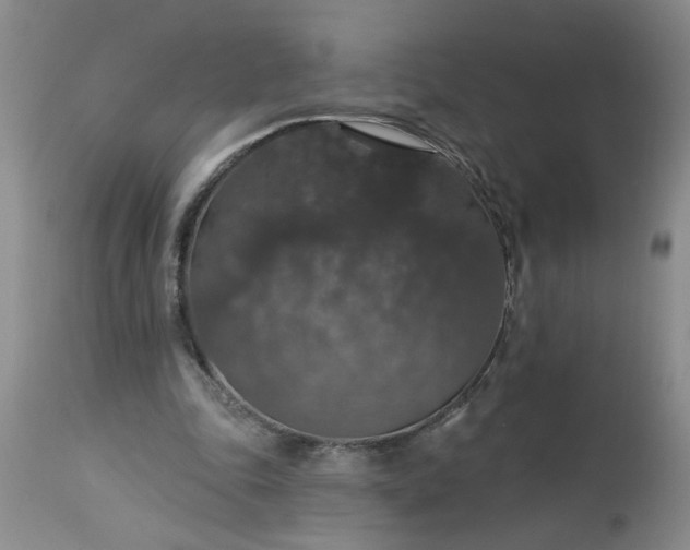 X0000113550343200910021536