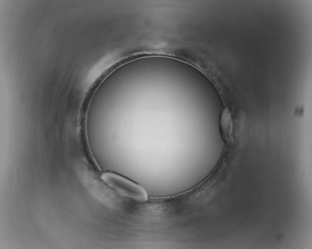 X0000113550344200910021536