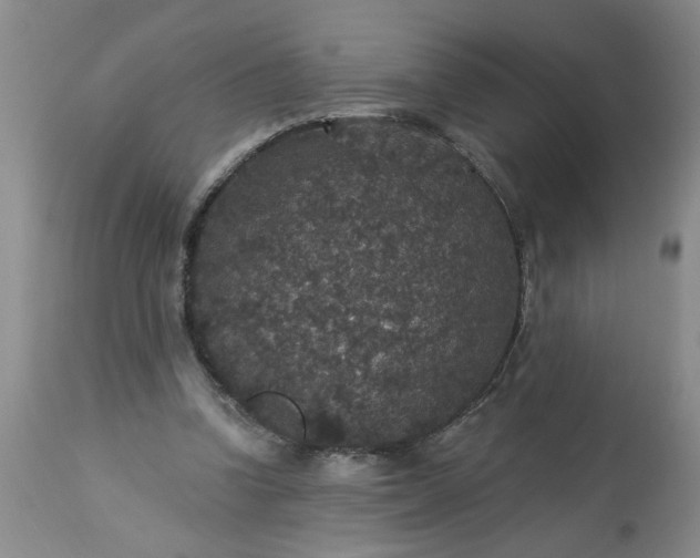 X0000113550346200910021536