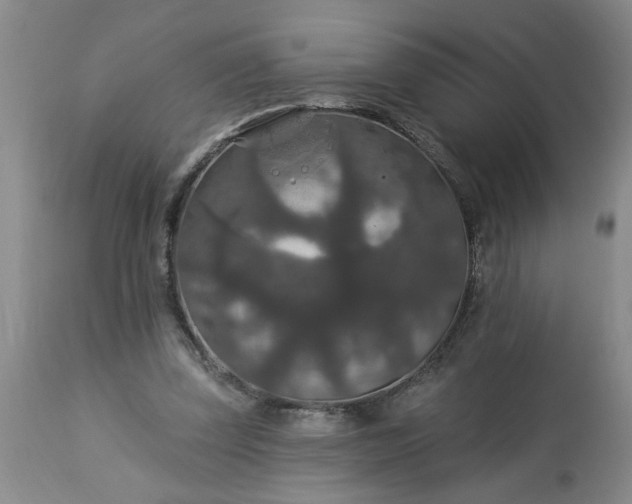 X0000113550347200910021536