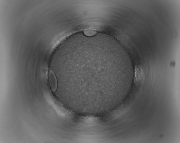 X0000113550348200910021536