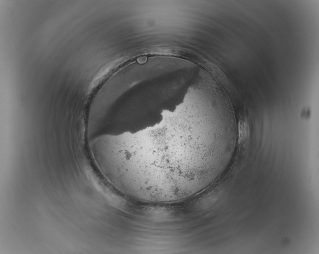 X0000113550349200910021536