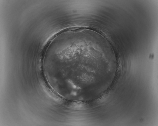 X0000113550351200910021536