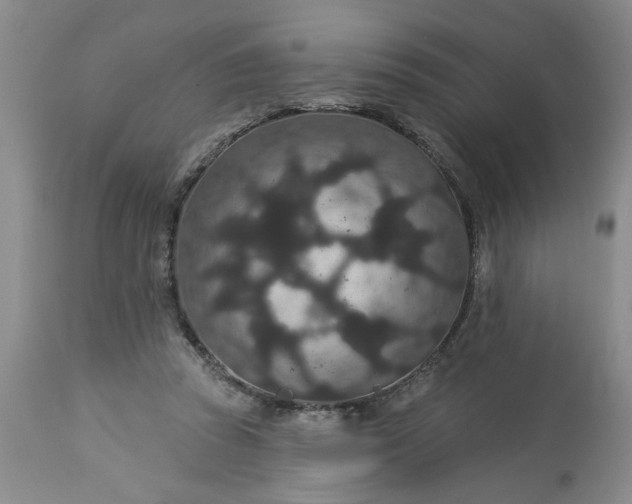 X0000113550353200910021536