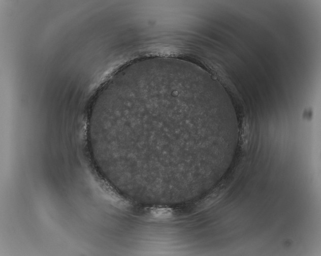 X0000113550355200910021536