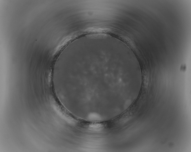 X0000113550357200910021536