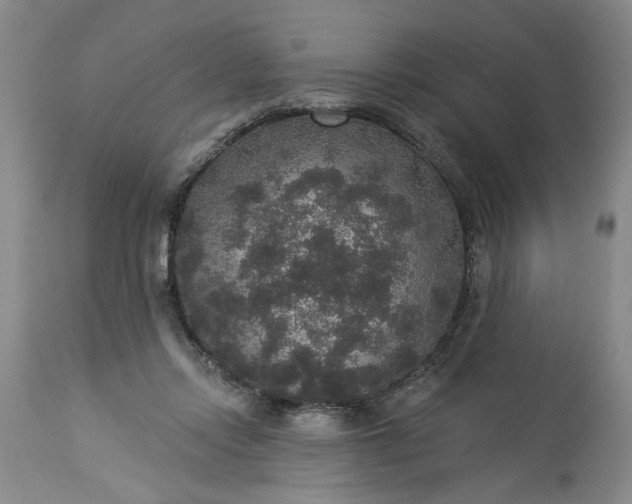 X0000113550358200910021536