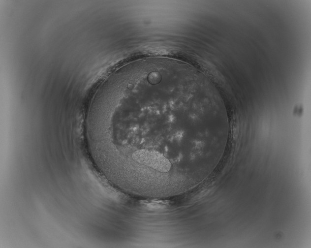 X0000113550359200910021536