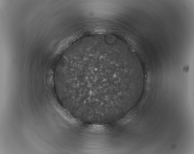 X0000113550361200910021536