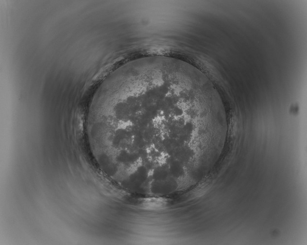 X0000113550363200910021536