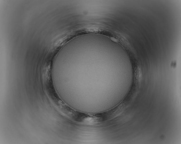 X0000113550364200910021536