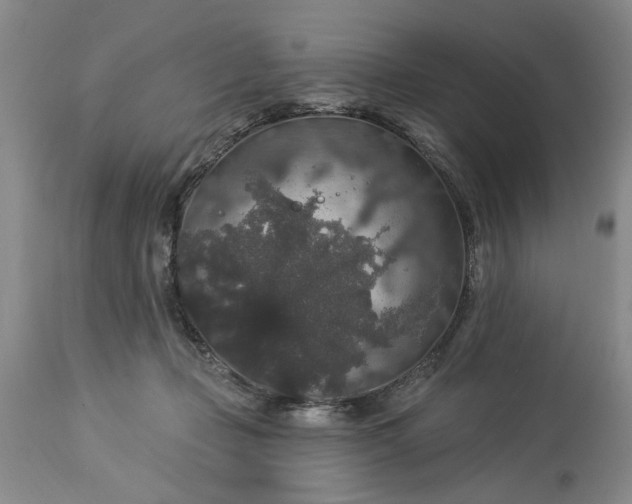 X0000113550365200910021536