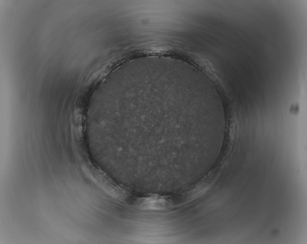 X0000113550366200910021536