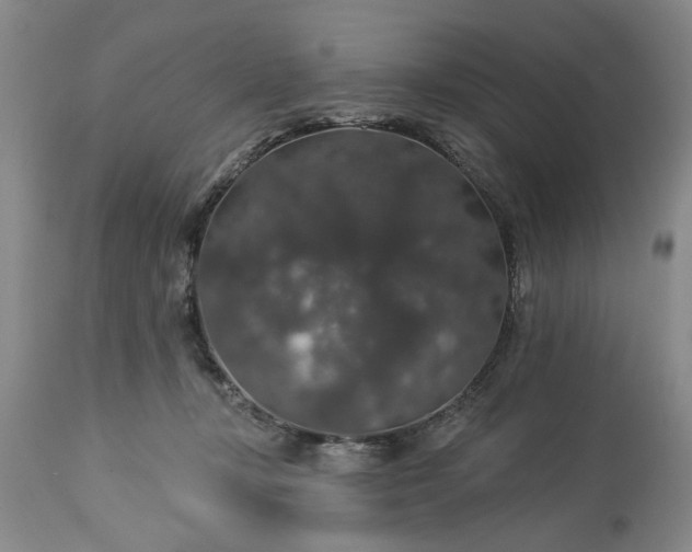 X0000113550367200910021536